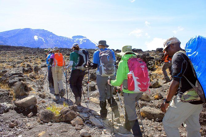 Kilimanjaro-lemosho Route 8 Days Itinerary - Barafu Ridge and the pre-summit evening: where timing becomes everything