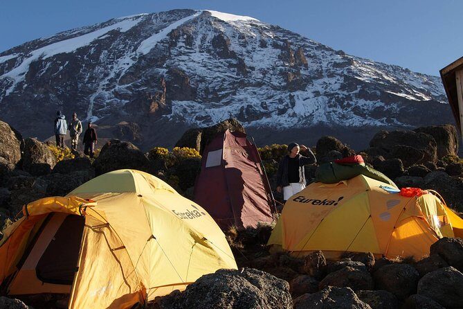 Kilimanjaro-lemosho Route 8 Days Itinerary - From Arusha to Londorossi Gate: easing into the Lemosho trail