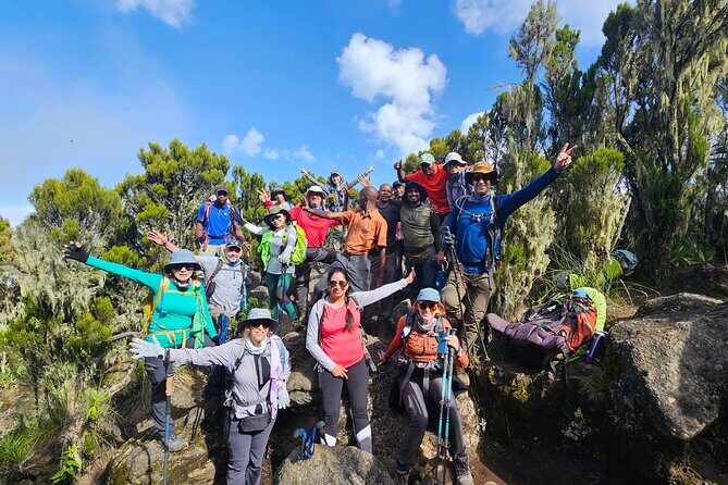 Kilimanjaro Lemosho Route 8 Days - Day-by-day: from Mti Mkubwa to the Shira Plateau