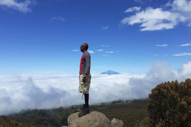 KILIMANJARO MACHAME ROUTE, (Climb 7days) - Barranco to Karanga: Giant Groundsels and a Shorter Day That Helps