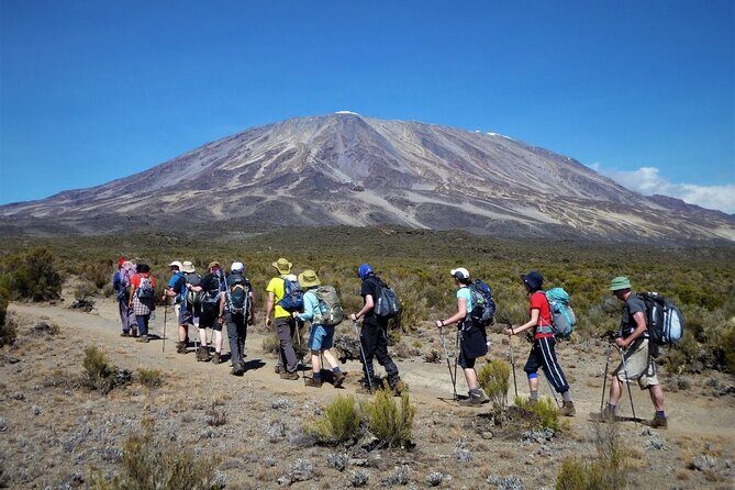 Kilimanjaro-marangu Route 6 Days Itinerary - Moshi Base Camp: Kilimanjaro Mountain Resort and Your Easy Arrival