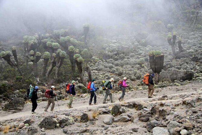 Kilimanjaro-marangu Route 6 Days Itinerary - Day 1 (5:30 pm): Briefing, Gear Check, and Insurance Reality
