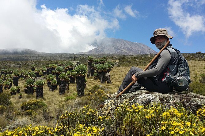 Kilimanjaro Marangu Route Day Tour - Moshi to Marangu Gate: the morning setup that keeps you calm