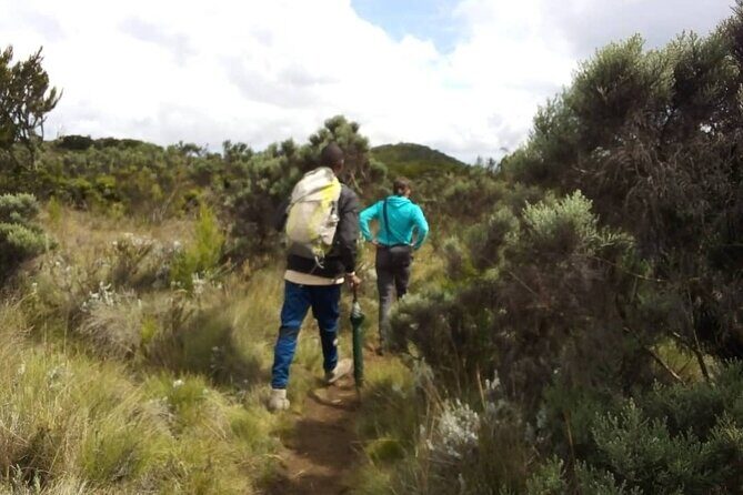 Kilimanjaro National Park Day Trip - Picnic lunch at Mandara, then the smart descent