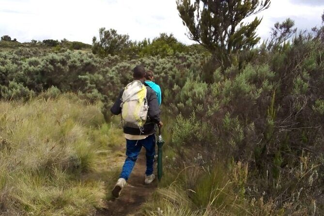 Kilimanjaro National Park Day Trip - The guide makes the difference more than you expect
