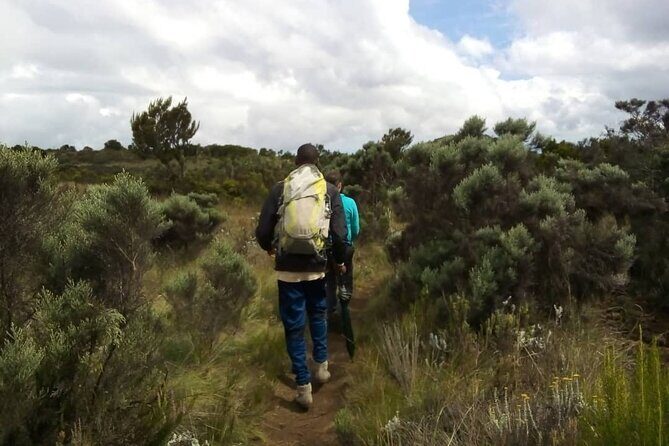 Kilimanjaro National Park Day Trip - Price and value: what $250.42 covers (and what it doesn’t)
