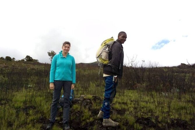 Kilimanjaro National Park Day Trip - Marangu Route rainforest trekking to Mandara encampment