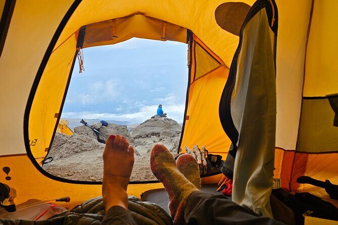 Kilimanjaro Northern Circuit Route 8 Days - Day 8 Mweka descent through rain forest, plus your gold or green certificate