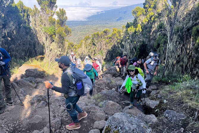 Kilimanjaro Northern Circuit Route 8 Days - Who this Kilimanjaro Northern Circuit fits best