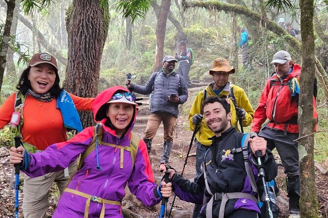 Kilimanjaro Northern Circuit Route 8 Days - Days 1–3: Londorossi Gate, Lemosho glades, Shira Plateau, and Shark’s Tooth