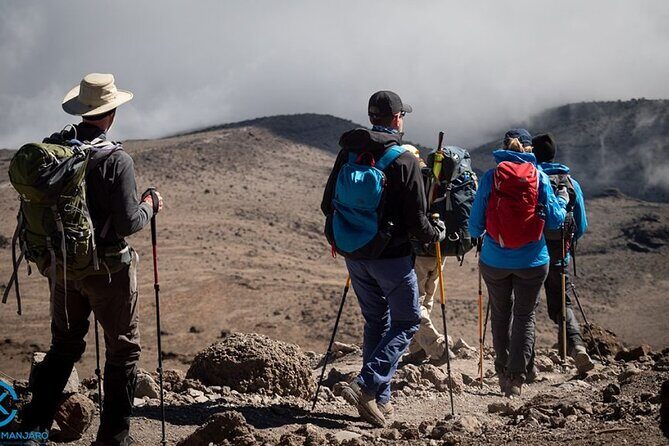 Kilimanjaro Private 2 Days Hiking Tour - Transport timing and how the day flows in Arusha