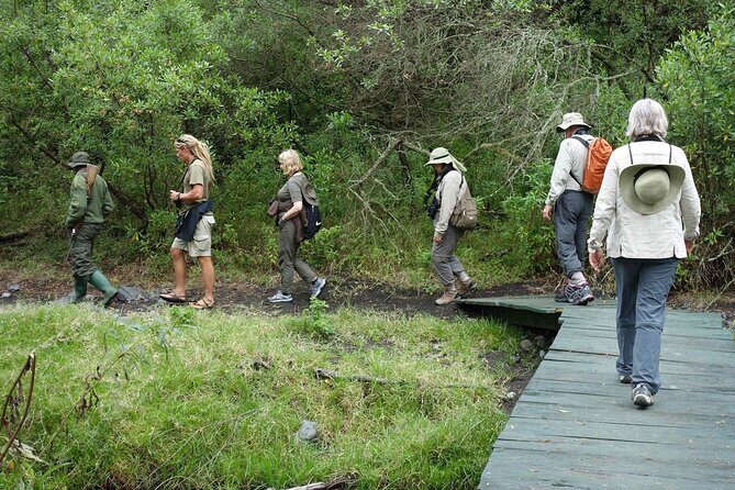 Kilimanjaro Private 2 Days Hiking Tour - From Arusha pickup to Marangu Gate formalities
