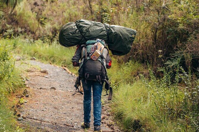Kilimanjaro Private Climbing in 6 Days Marangu Route - Marangu Day 1: the rainforest push to Mandara Hut