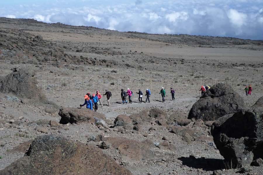 Kilimanjaro: Shira plateau to Cathedral point 3872m Day hike - What to bring for a Shira day: layers, rain gear, and altitude comfort