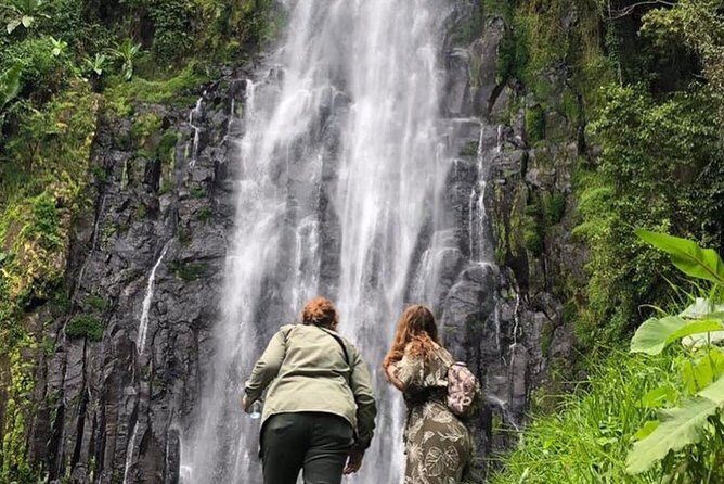 Kilimanjaro Waterfalls Hike & Moshi Hot Springs Day Trip Tour - Key highlights worth clocking before you go