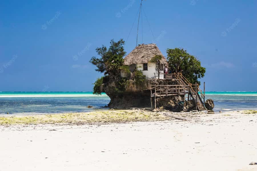 Kiwengwa/Zanzibar: Mnemba, Kuza Cave & Jozani Forest Tour - The included wine: nice idea, but double-check on the day