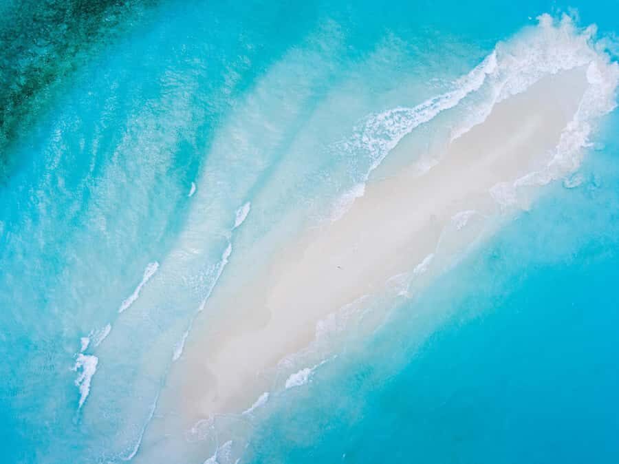 Kiwengwa/Zanzibar: Mnemba, Kuza Cave & Jozani Forest Tour - Paje Beach: white sand and calm water reset