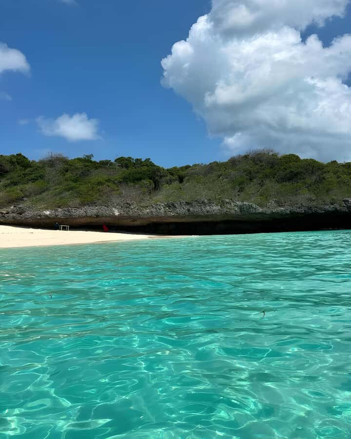 Kizimkazi: Pungume Island Snorkeling & Sandbank Tour - Price and value: is $100 fair for this day?