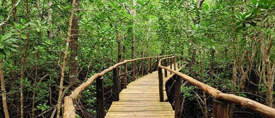 Kuza Cave, Hidden Mtende Beach & The Rock Restaurant - Is this for you? Who will enjoy it most