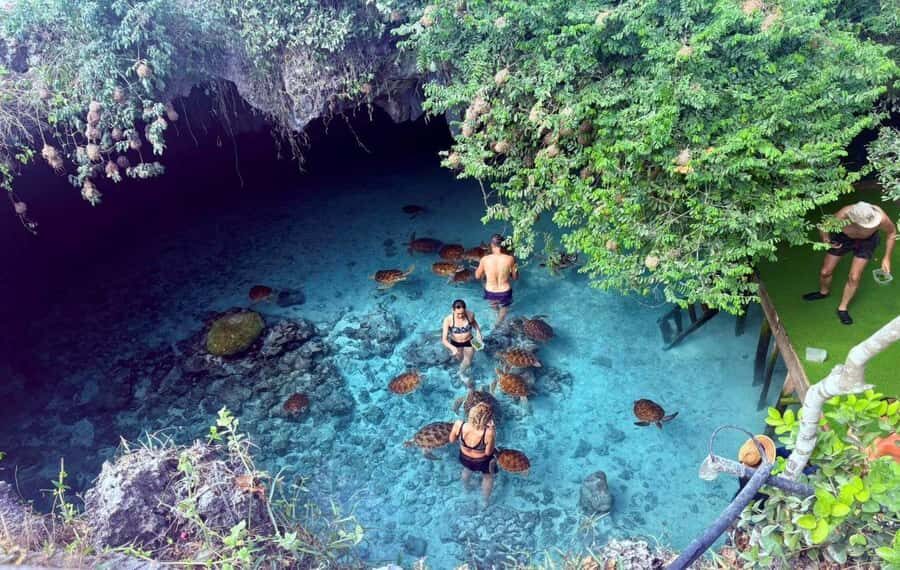 Kuza Cave, Rock Restaurant, Jozani Forest, Clear Kayaking - Logistics that make or break a full-day tour