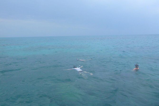 Kwale Island Dhow Sailing Tour from Zanzibar with Seafood Lunch - Menai Bay snorkeling: corals and an easy-to-manage first stop