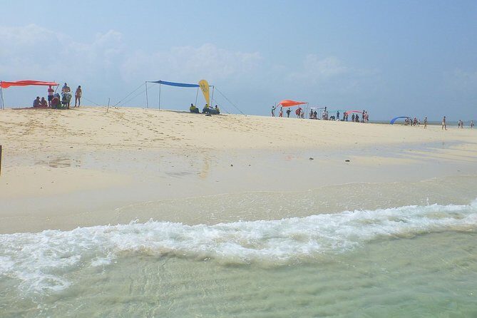 Kwale Island Dhow Sailing Tour from Zanzibar with Seafood Lunch - Getting picked up at 8:00 am: timing, hotels, and real-world logistics