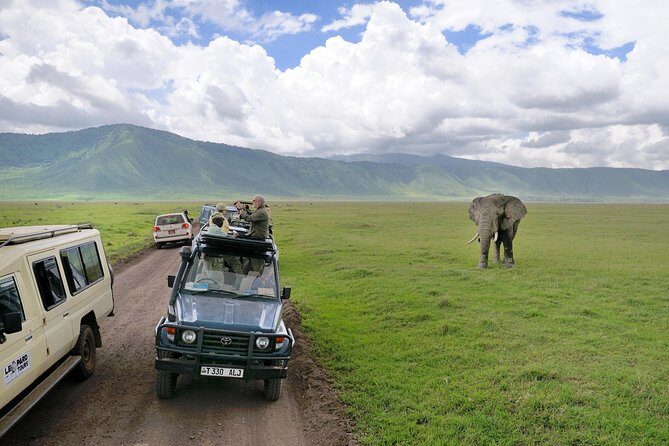 Lake Manyara National Park Full-Day Tour from Arusha - Entering Lake Manyara: Where Lions and Birds Share the Same Story