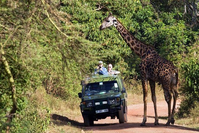 Lake Manyara National Park Full-Day Tour from Arusha - Add-On Options: Bike or Boat Can Change the Flavor of the Day