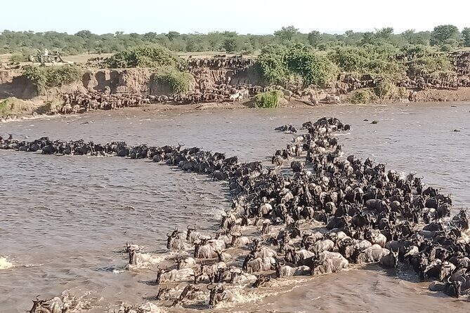 Latest Updates On The Top Best 3 day Serengeti Migration Safari - Season Cheat Sheet: Dry Migration vs Calving Months