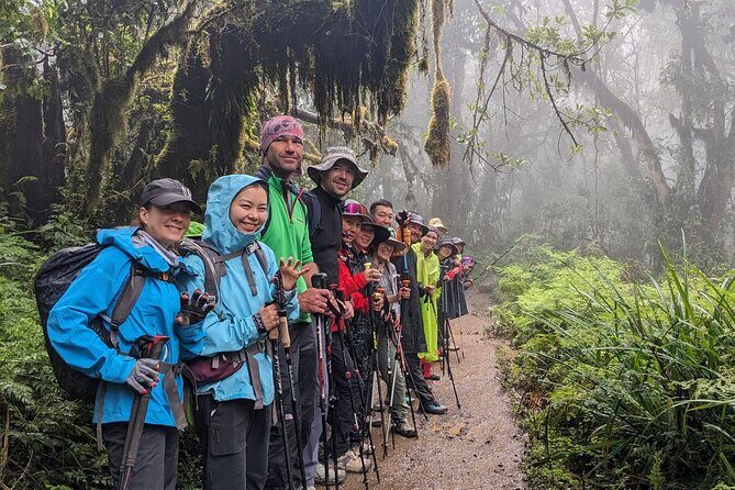 Lemosho Route 7 Days Trekking at Mount Kilimanjaro - Why the Lemosho Route is a smart fit for 7 days