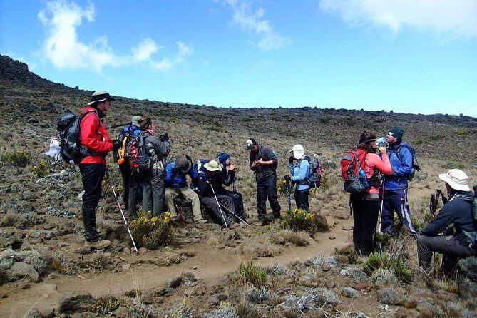 Lemosho Route 8 Days 7 Nights/Kilimanjaro Climb - Barafu Camp and the South Circuit Rhythm: Rest Like It Matters