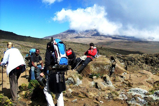 Lemosho Route 8 Days 7 Nights/Kilimanjaro Climb - Shira Plateau and Lent Hills: The Acclimatization Day That Pays Off Later
