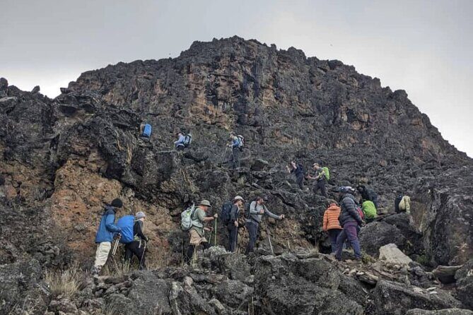Lemosho Route 8 Days Kilimanjaro Climbing Tour - Moshi start point: pickup, transfers, and the calm setup before you climb