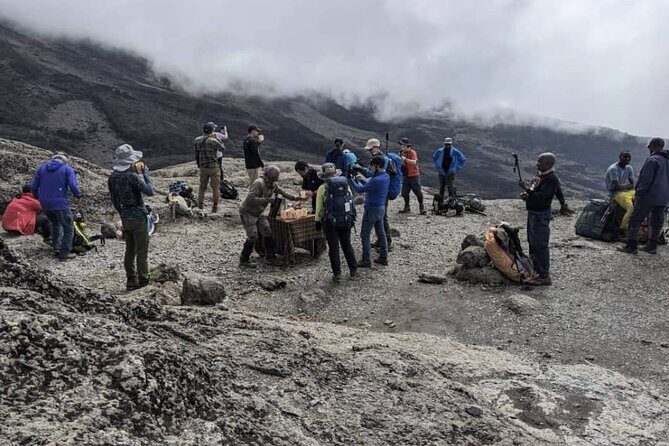 Lemosho Route 8 Days Kilimanjaro Climbing Tour - Day 2: Shira Ridge to Shira I Camp (vegetation shifts, views start showing)