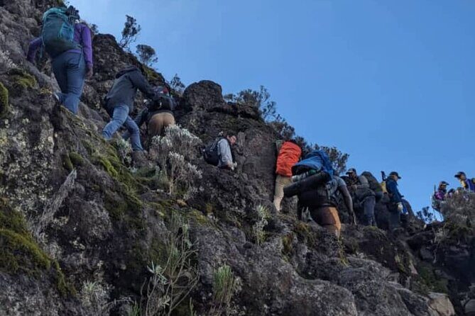 Lemosho Route 8 Days Kilimanjaro Climbing Tour - Day 6: Barafu Camp approach (steeper alpine trekking, final prep)
