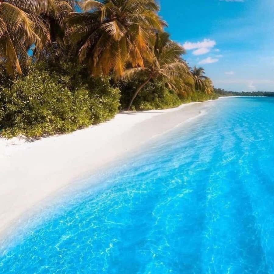 Lunch Break, Mnemba Tour, Swim with Turtles, Kendwa Beach - Should you book this Zanzibar Lunch Break + Mnemba + Turtles + Kendwa sunset tour?