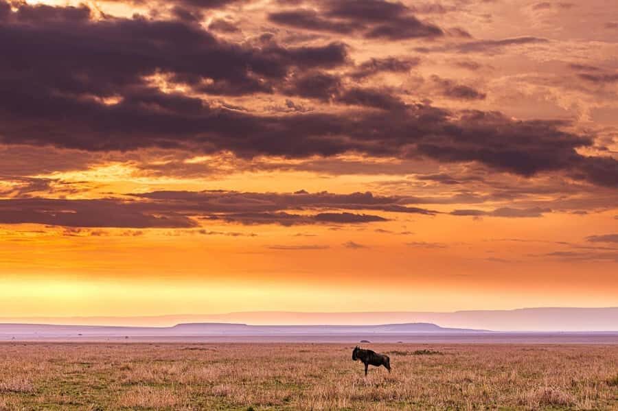 Maasai, Mikumi NP & Chizua Falls 3 Days From Dar es salaam - Key Highlights You’ll Care About