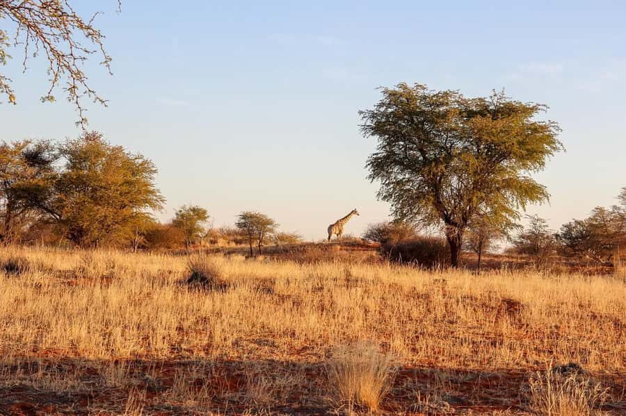 Maasai, Mikumi NP & Chizua Falls 3 Days From Dar es salaam - FAQ