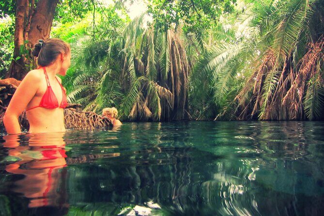 Maasai village visit and chemka hot-springs with hot lunch - Who This Tour Fits Best (and Who Might Want Another Option)