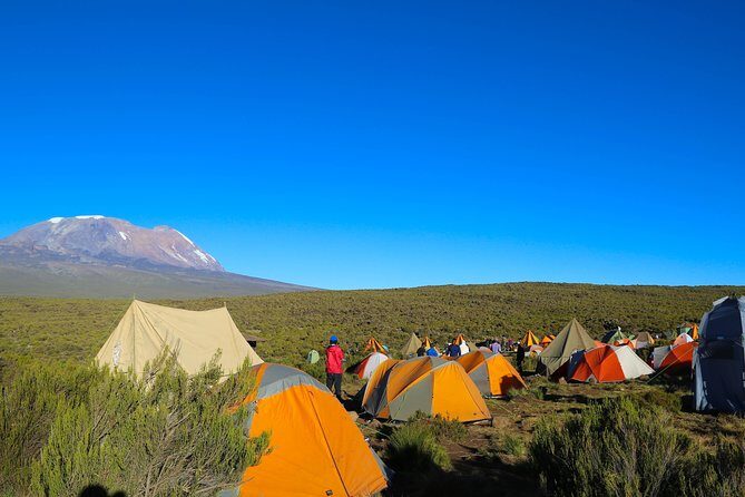 machame route - Key things that make this Machame trek worth your money