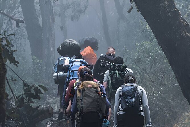 Machame Route 7-Day Private Kilimanjaro Trek - Price and What $2,209 Really Buys (and What It Doesn’t)