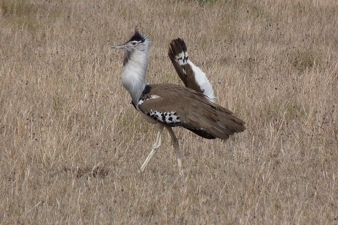 Manyara and Ngorongoro Crater - Value check: what $870 covers and where it makes sense