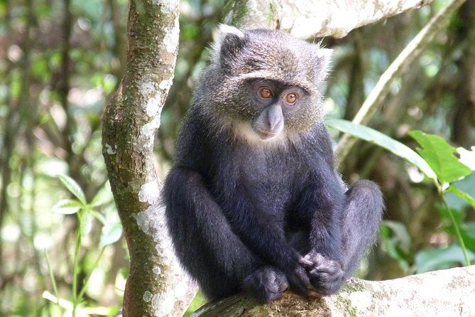 Manyara and Ngorongoro Crater - Hotels, meals, and a small-group pace