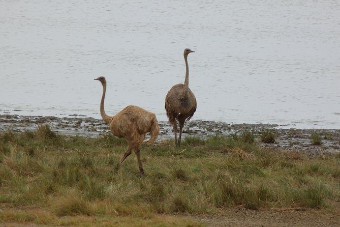 Manyara and Ngorongoro Crater - Practical packing checklist for this exact itinerary