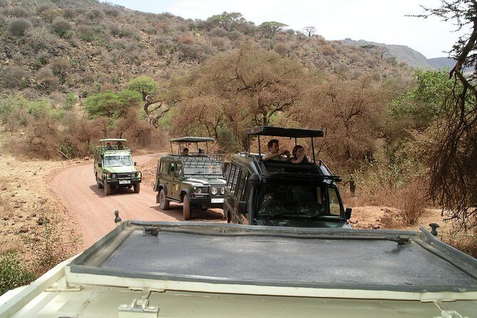 Manyara and Ngorongoro Crater - Day 1 in Ngorongoro: the crater drive and how to make it work