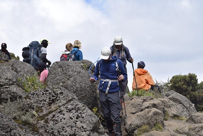 Marangu Route 6 Days 5 Nights/Kilimanjaro Climb - Day 3 acclimatization: Zebra Rocks at 4,020m