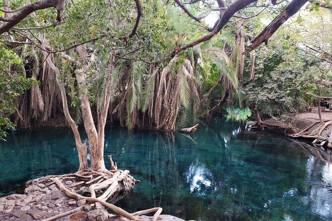 Materuni (Coffee Tour) and Chemka (Kikuletwa Tour) - One day, three parts: views, village coffee, and Kikuletwa pools