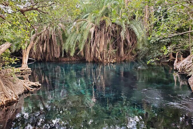 Materuni (Coffee Tour) and Chemka (Kikuletwa Tour) - Materuni Waterfalls: the hike is doable, and the payoff is real