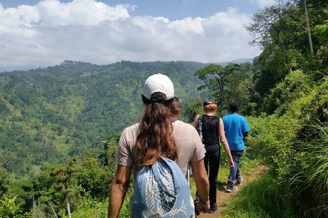 Materuni Thundering Waterfalls,Coffee Experience with Moshi Town Tour - Key highlights at a glance