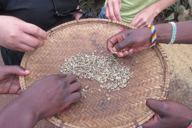 Materuni Thundering Waterfalls,Coffee Experience with Moshi Town Tour - Materuni Waterfalls and Chagga coffee: the real reason this works